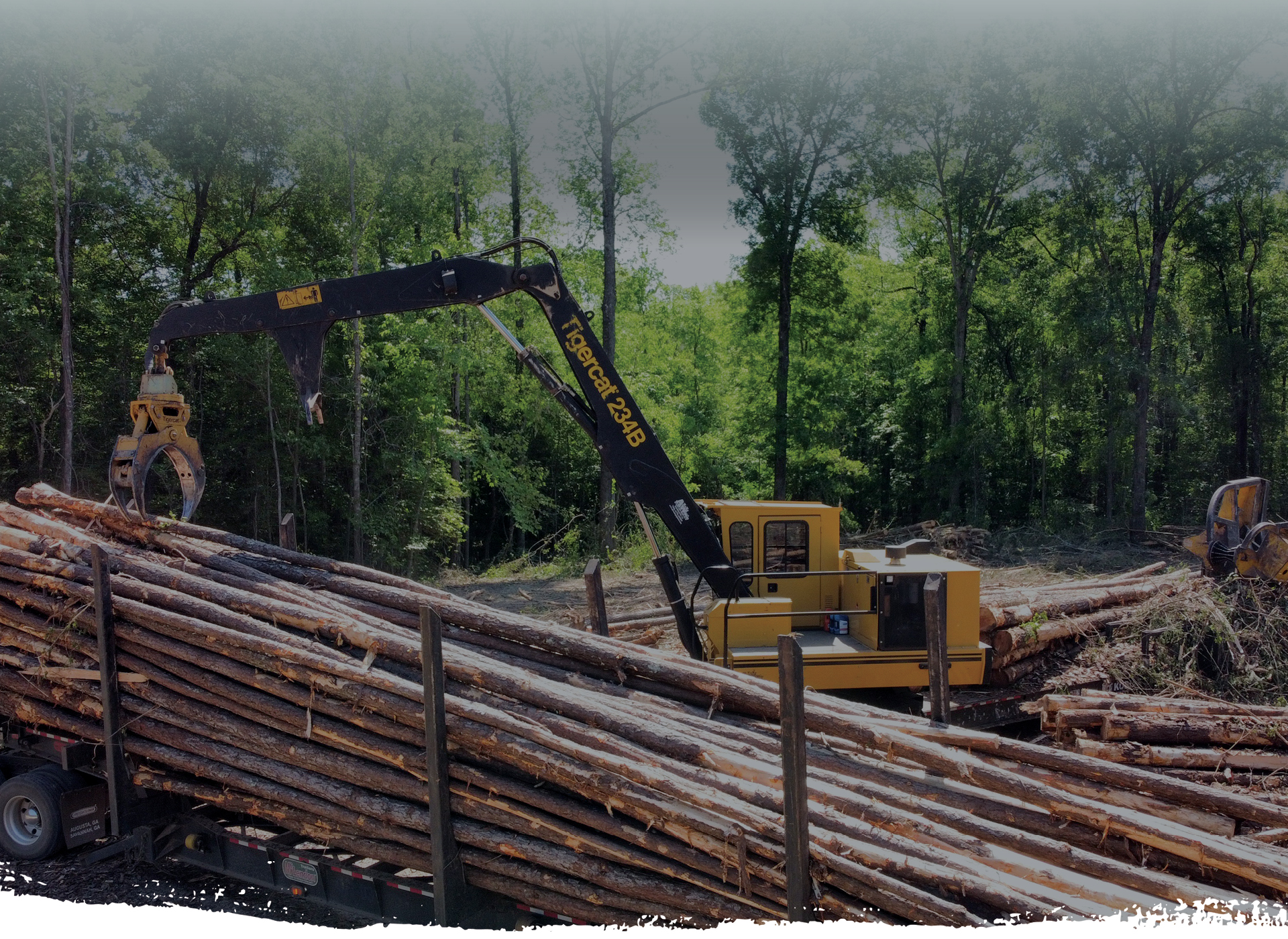 lumber harvest equipment