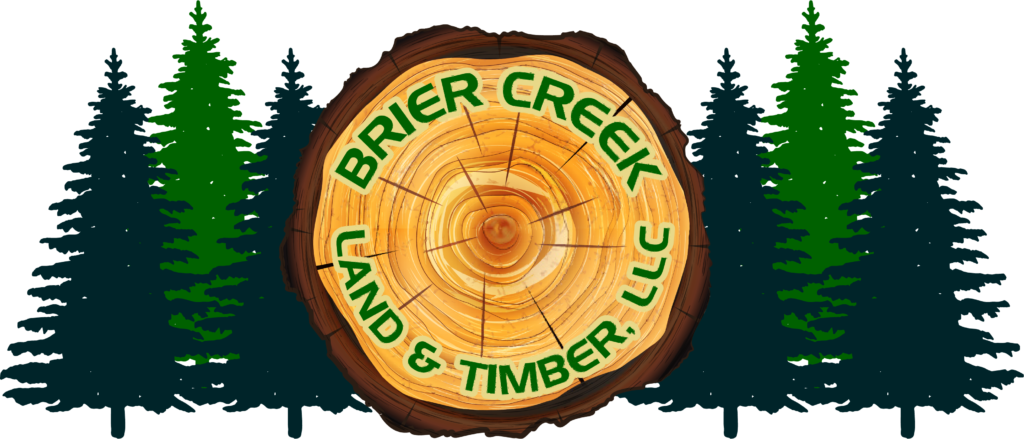 brier creek land and timber large logo