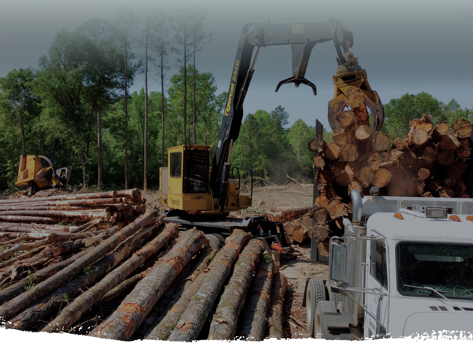 brier creek thinning
