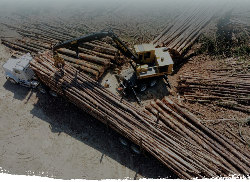 FAQs Brier Creek Timber Evans, GA