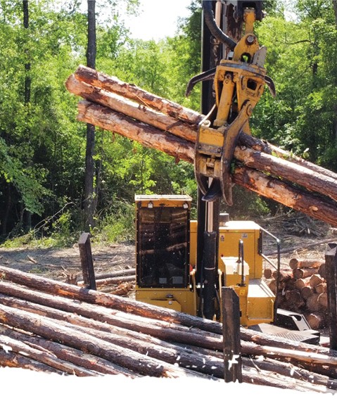 brier creek land and timber logs